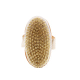 Lymphatic Body Brush            + Free Shipping